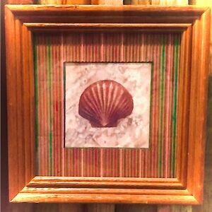 Seashell Wall Decoration Picture in Wooden Frame 🖼️